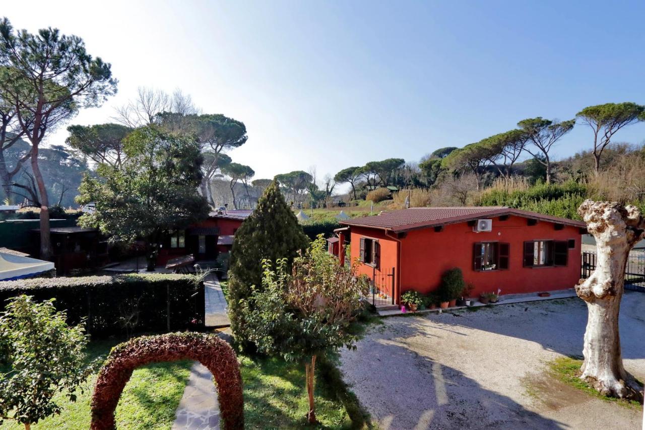 Antico Platano Bed and Breakfast Rome Buitenkant foto